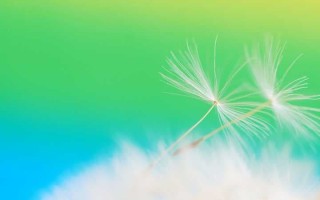 怎么给电脑换壁纸