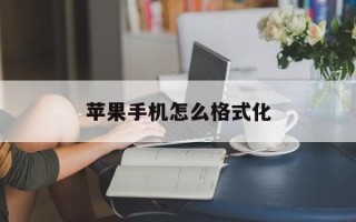 苹果手机怎么格式化