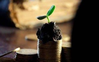 自媒体时代是什么意思