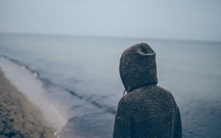 2026年还在用Notion？这8个免费替代品可能更适合你
