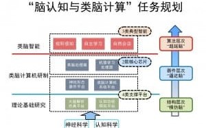 “脑认知与类脑计算”任务规划(简图)