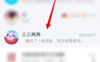聊天置顶是什么意思