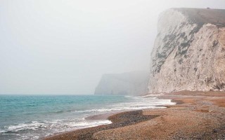 抖音2026年算法变了：完播率权重上调，互动权重从点赞转向收藏