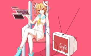 网络h十是什么意思啊