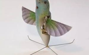 空中仿生机器人