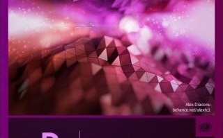 pr主要是做什么的