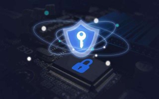 影子系统是什么?