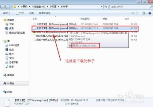 种子怎么看-第1张图片-王尘宇
