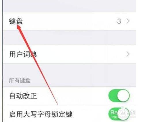 苹果虚拟键怎么调出来-第2张图片-王尘宇