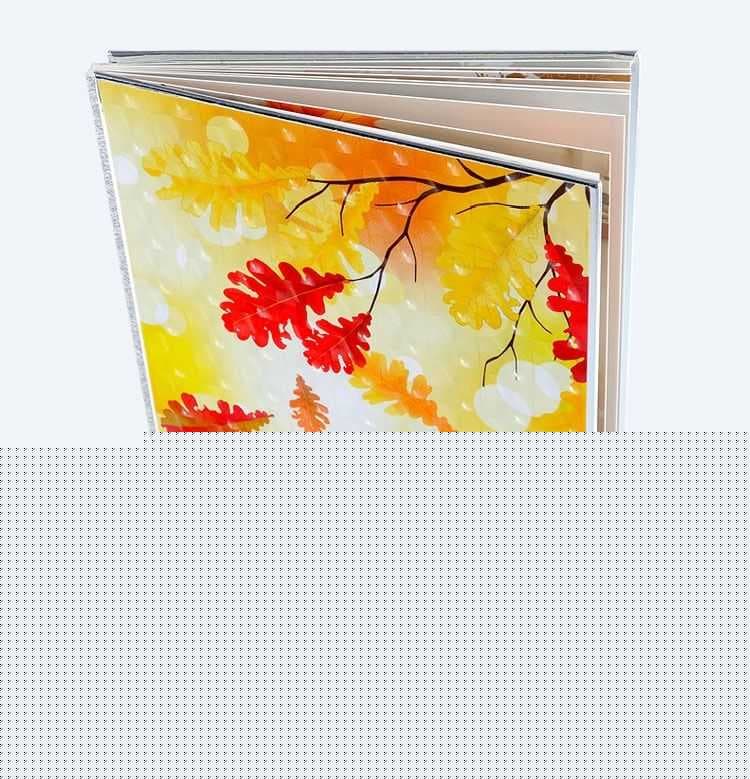 怎样制作相册-第2张图片-王尘宇 怎样制作相册-第2张图片-王尘宇