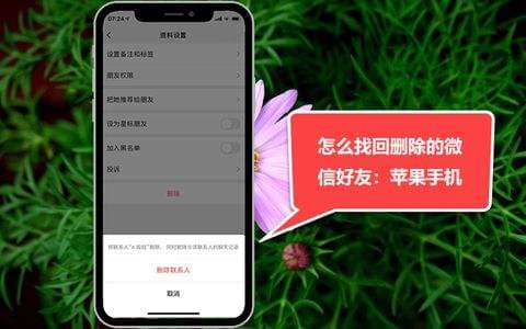 设置的微信号怎么删除-第2张图片-王尘宇