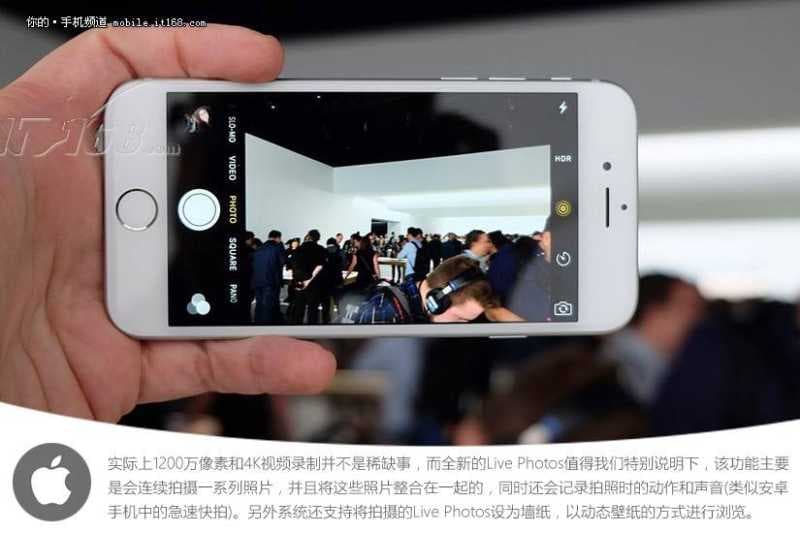 苹果公开版什么意思-第1张图片-王尘宇 苹果公开版什么意思-第1张图片-王尘宇