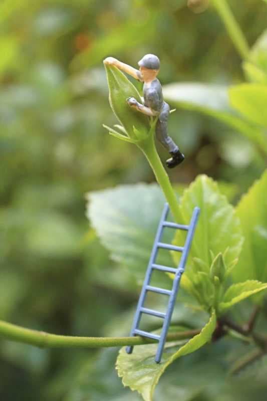 手机微距摄影技巧-第1张图片-王尘宇