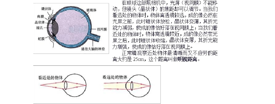 照相机原理是什么-第2张图片-王尘宇