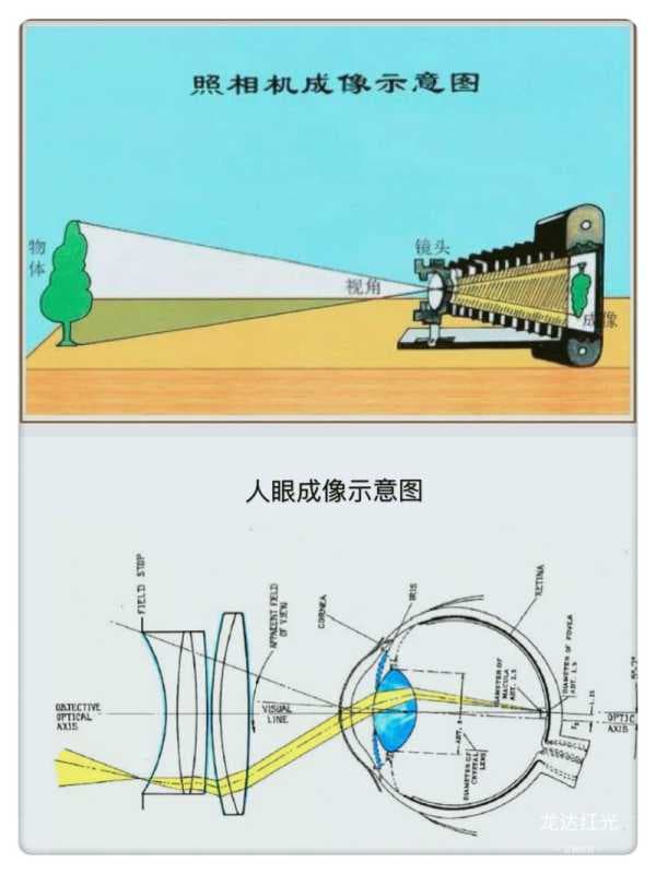 照相机原理是什么-第1张图片-王尘宇