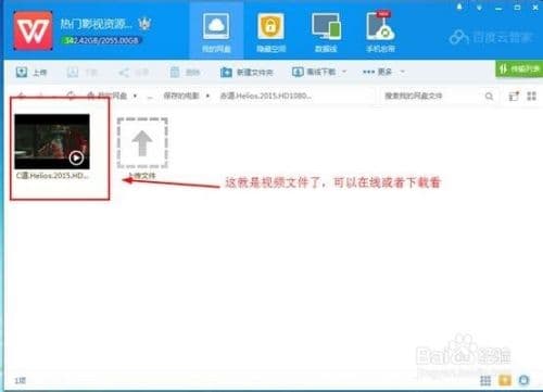 种子怎么看-第2张图片-王尘宇