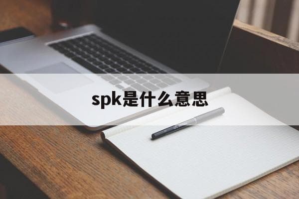spk是什么意思-第1张图片-王尘宇