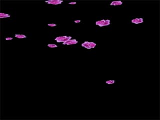 微信怎么弄动态背景-第2张图片-王尘宇