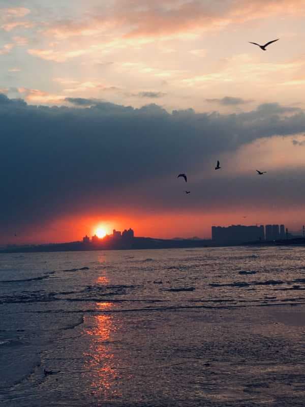 手机日出拍摄技巧-第1张图片-王尘宇