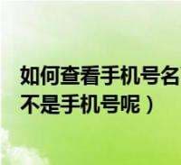 怎么查自己名下的手机号-第2张图片-王尘宇