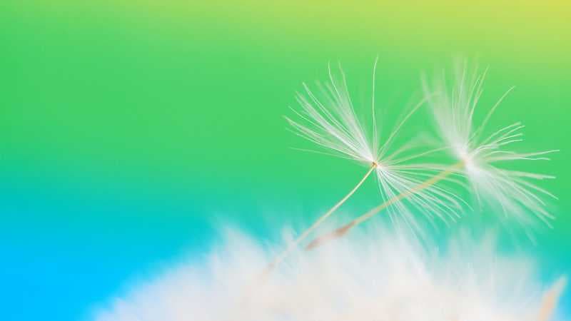 怎么给电脑换壁纸-第1张图片-王尘宇