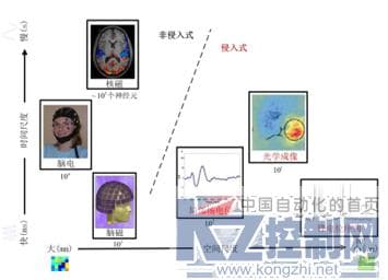 类脑计算: 脑科学研究进展-第1张图片-王尘宇