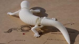 日本3D打印一体成型仿生机器人像动物一样移动-第1张图片-王尘宇