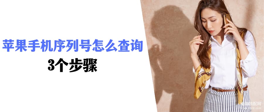 苹果序列号查询官网入口在哪里-第1张图片-王尘宇