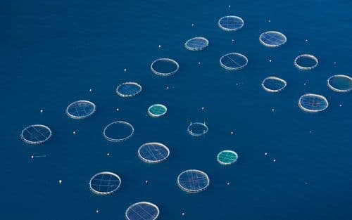 什么是必应学术?必应学术可以干嘛?-第1张图片-王尘宇