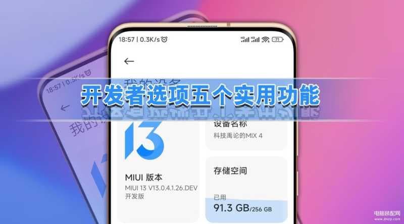 小米10开发者选项在哪-第1张图片-王尘宇