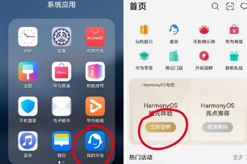 华为watch 2怎么升级鸿蒙-第1张图片-王尘宇